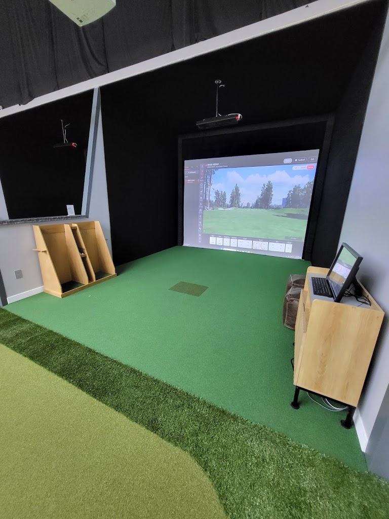 Ace Indoor Golf - review