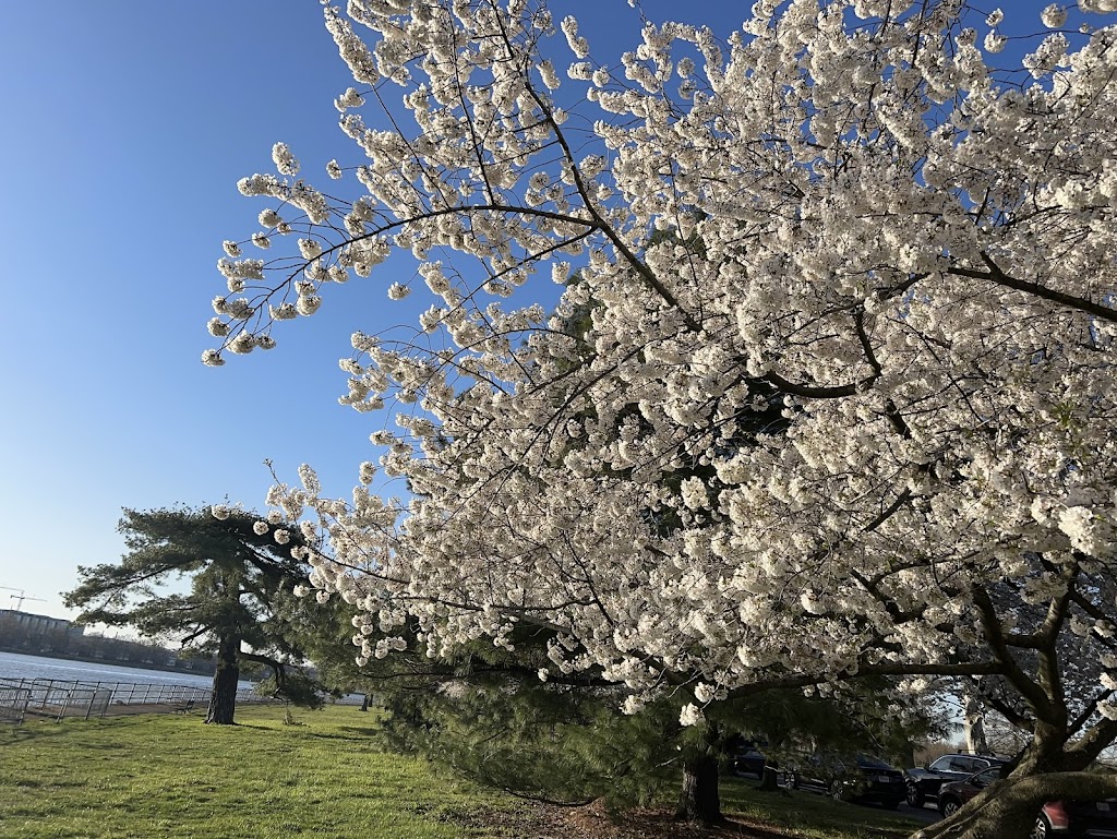 East Potomac Golf Links - review