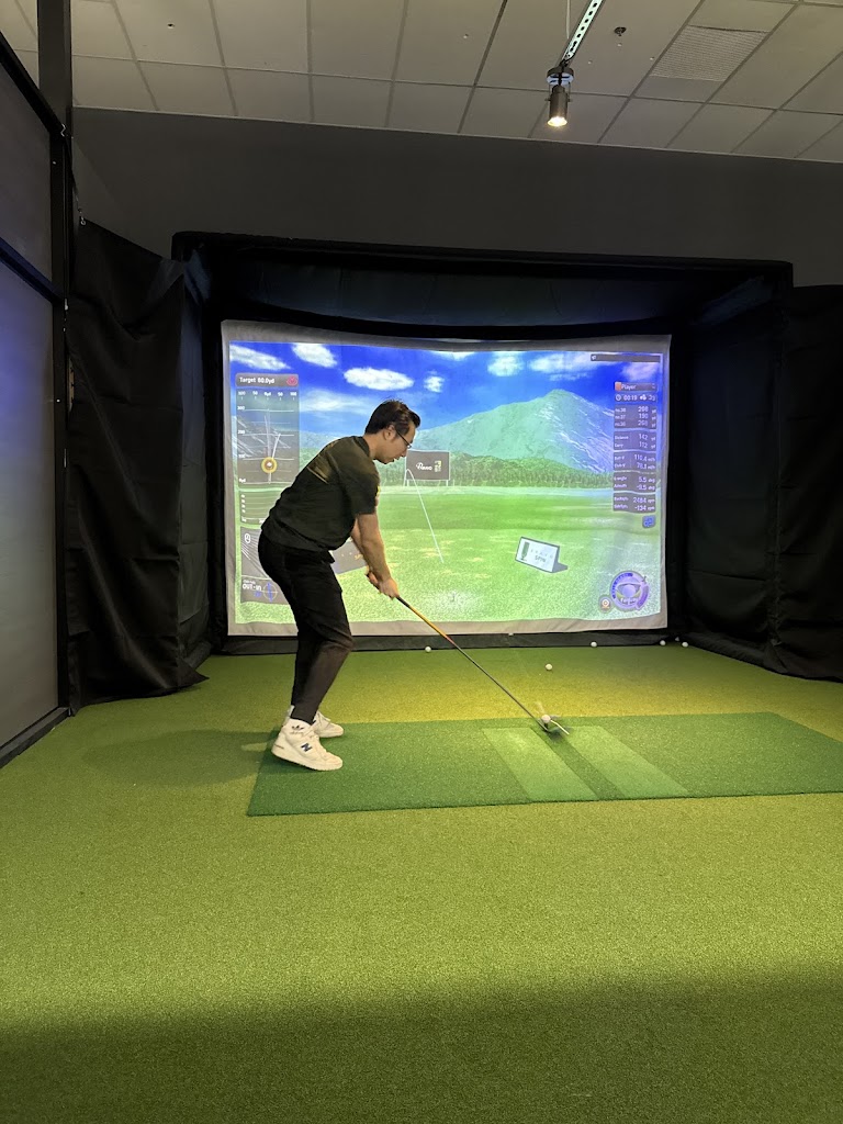 TARGET Indoor Golf - review