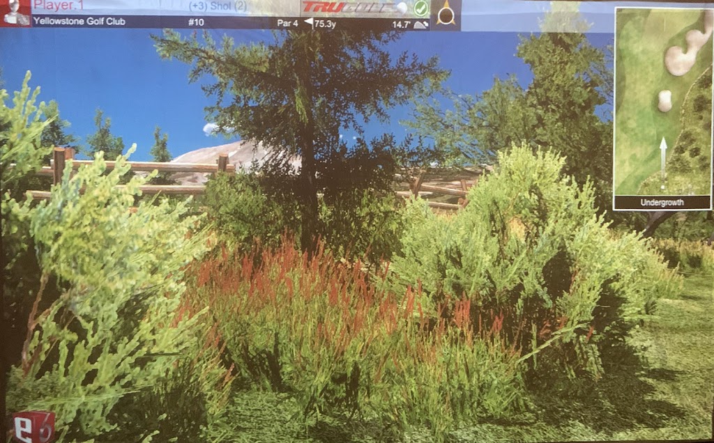 Par's Indoor Golf - review