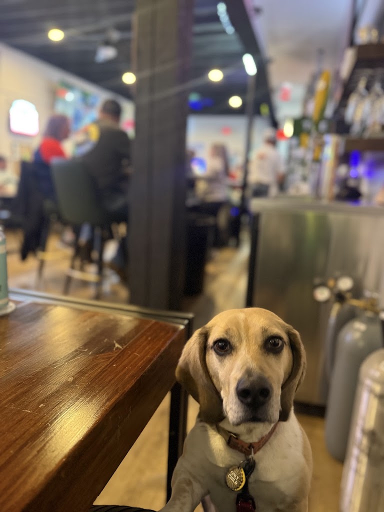 The 19th Hole, Inc. - review