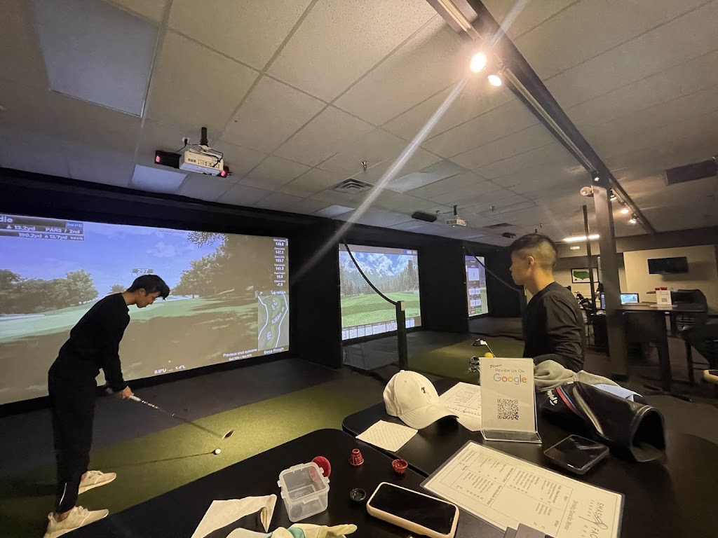 Smash Factor Indoor Golf - review