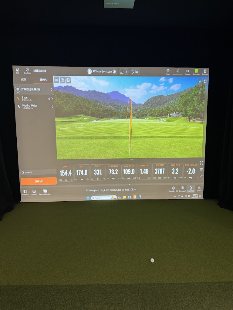 Performance Indoor Golf - review