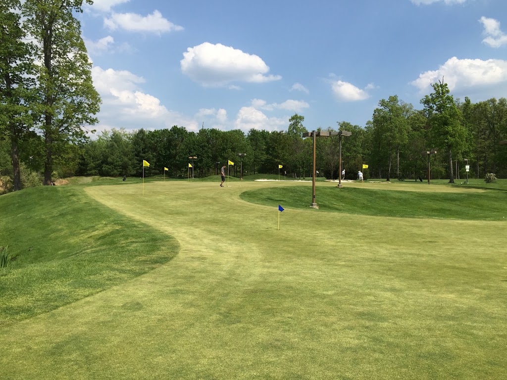 Virginia Golf Center - gallery