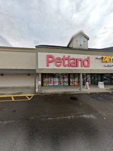 TheSwingSpotGolf - gallery