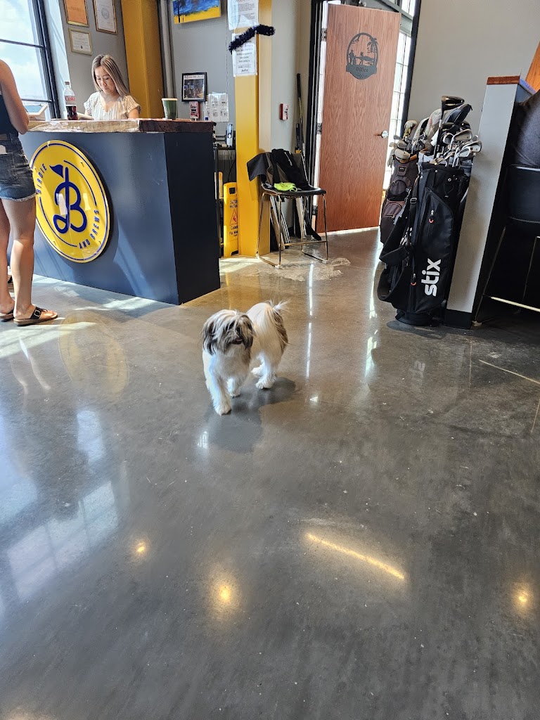 Birdie and Brews - review