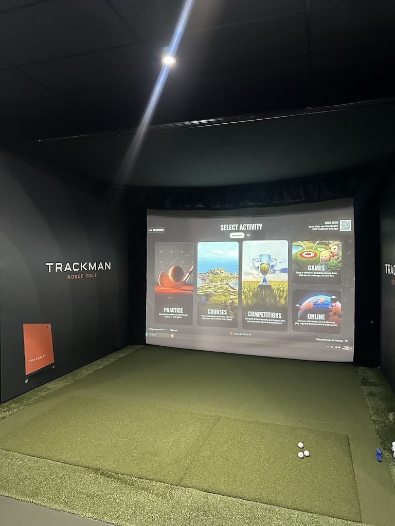 Virtual Greens Golf Club - review