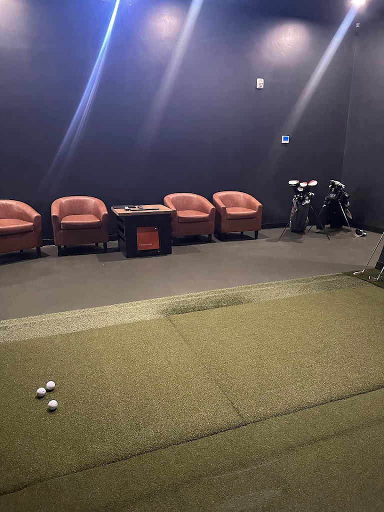 Virtual Greens Golf Club - review