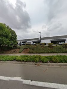 BirdieFinish Golf - gallery