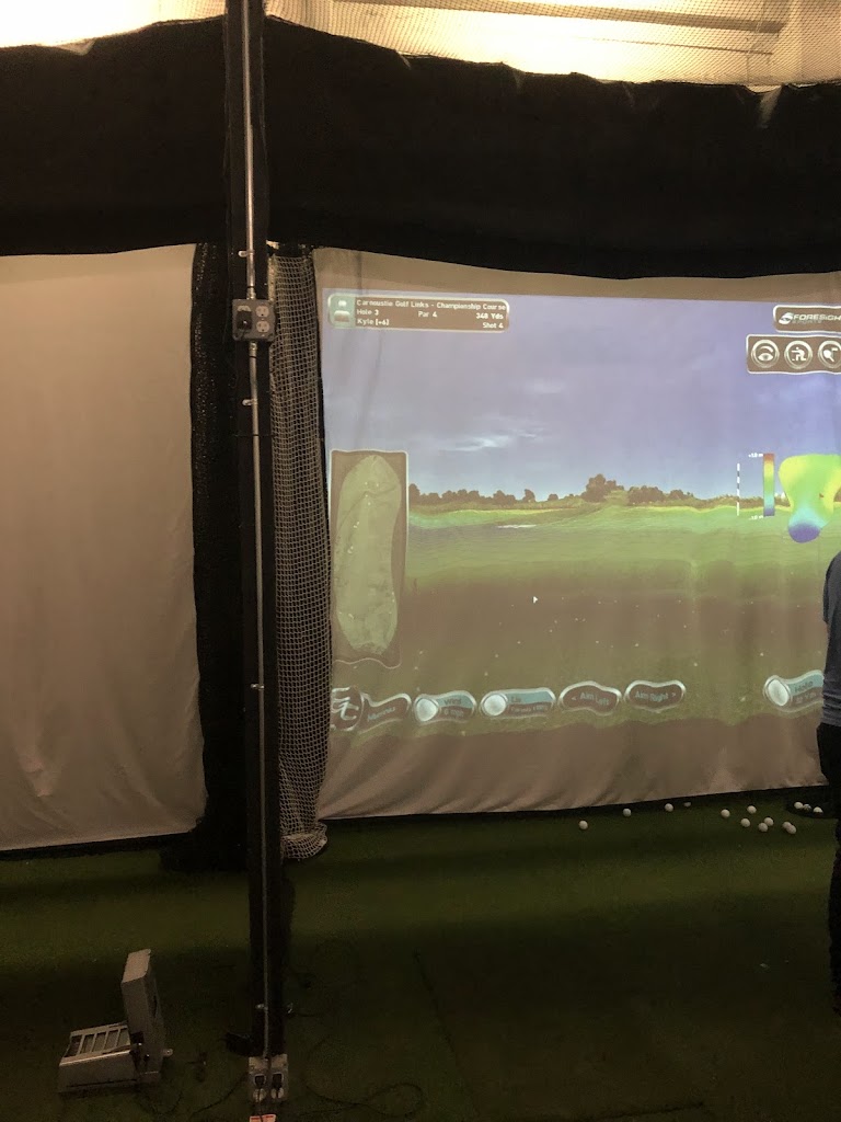 Eagle Club Indoor Golf - review