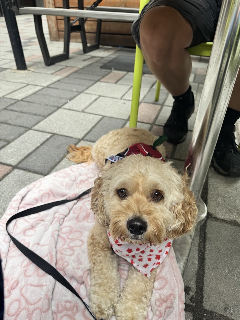 Mulligans Golf Bar - review