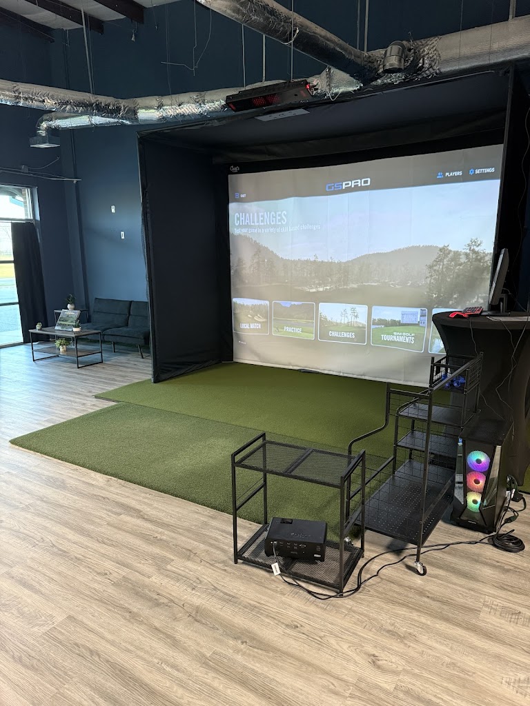 Hit 'Em Straight Indoor Golf - gallery