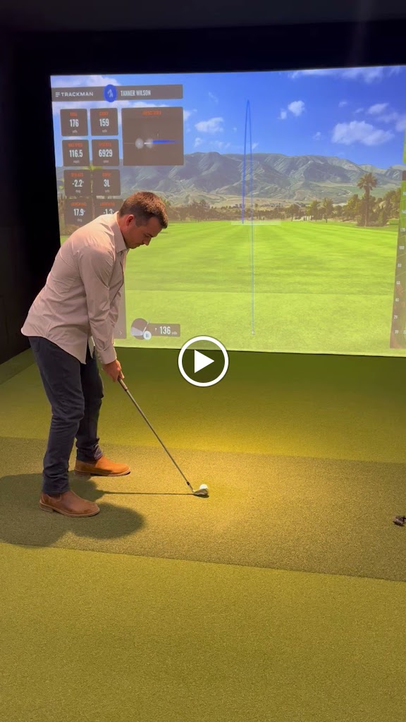 Albatross Golf Simulator - gallery