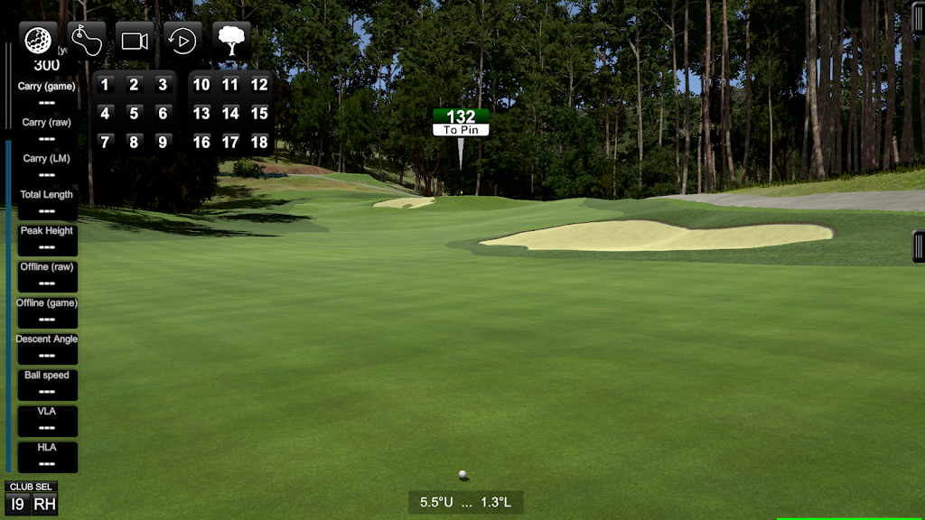 golf simulator guys - gallery