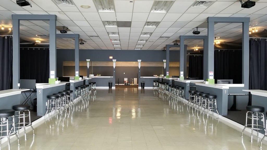 Swing Evolutions - gallery