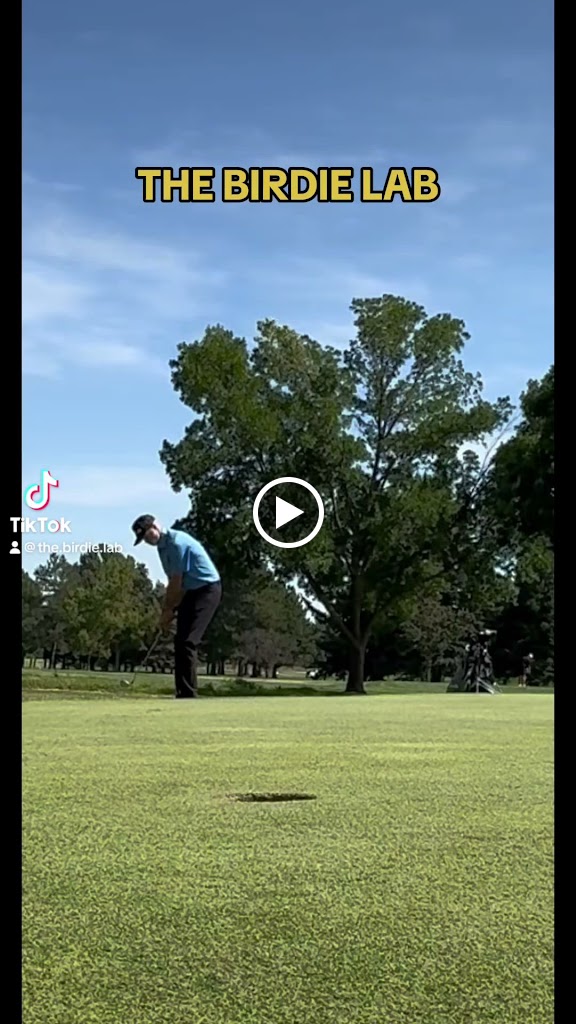 The Birdie Lab - Fort Collins Golf Lessons - gallery
