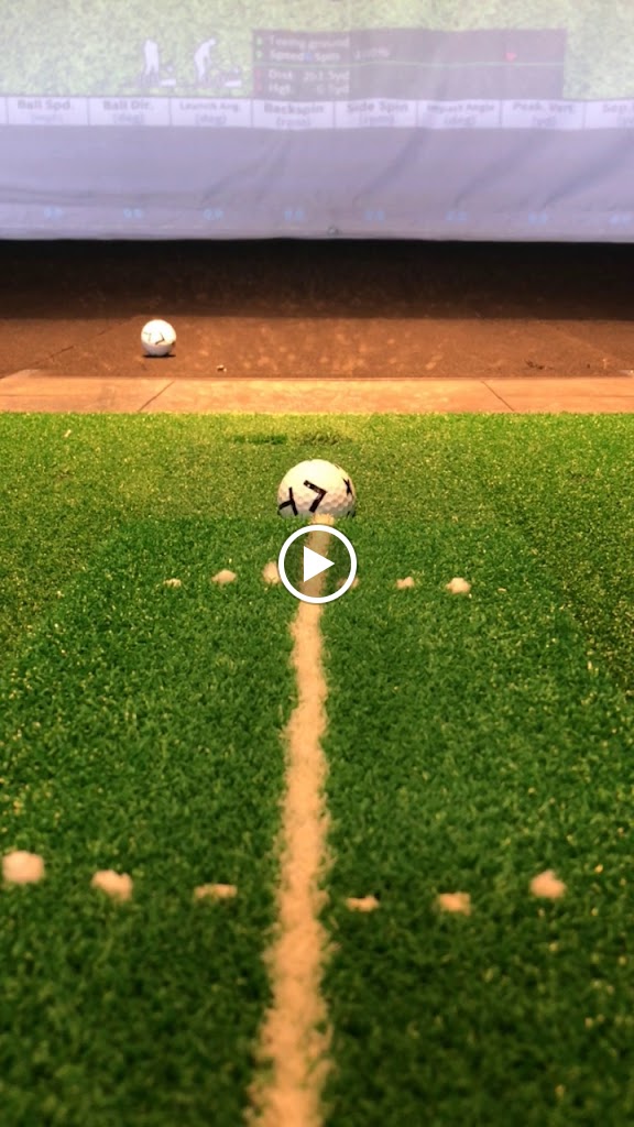 X-Golf Ann Arbor - gallery