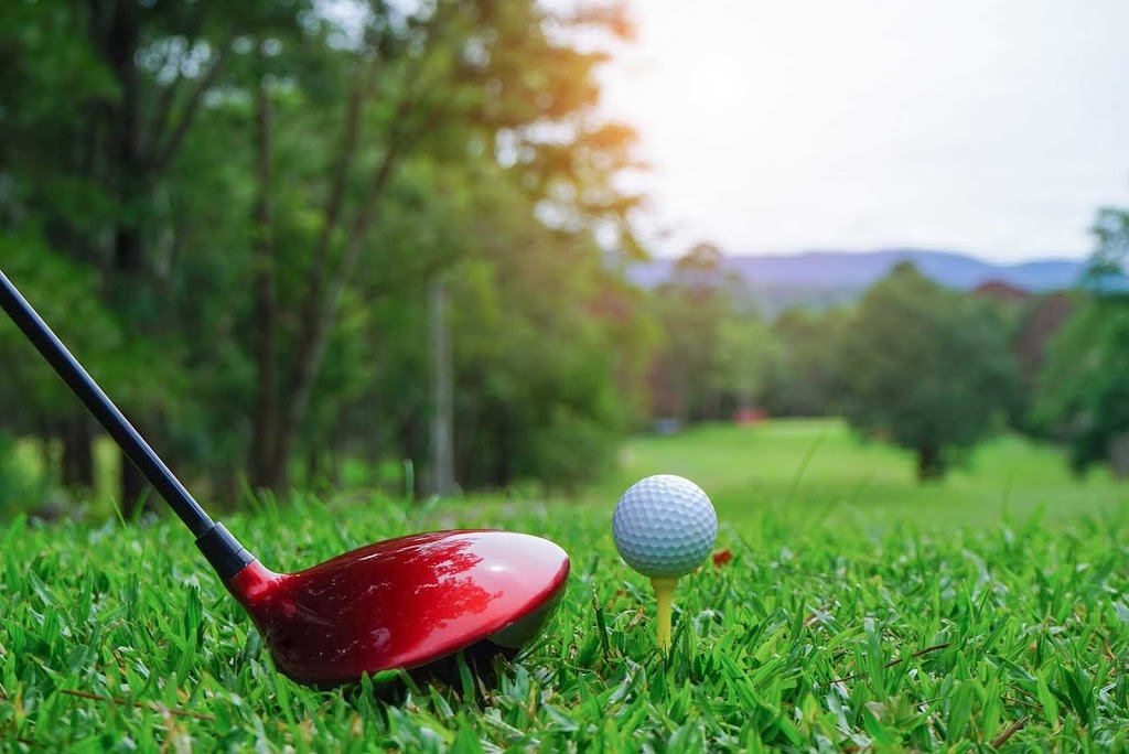 On The Fringe - gallery