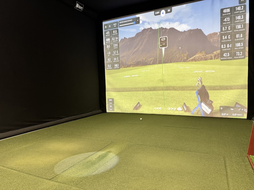 Endless Swings Indoor Golf - gallery