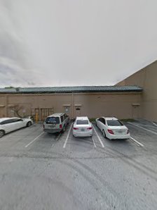 Indoor Birdies - gallery