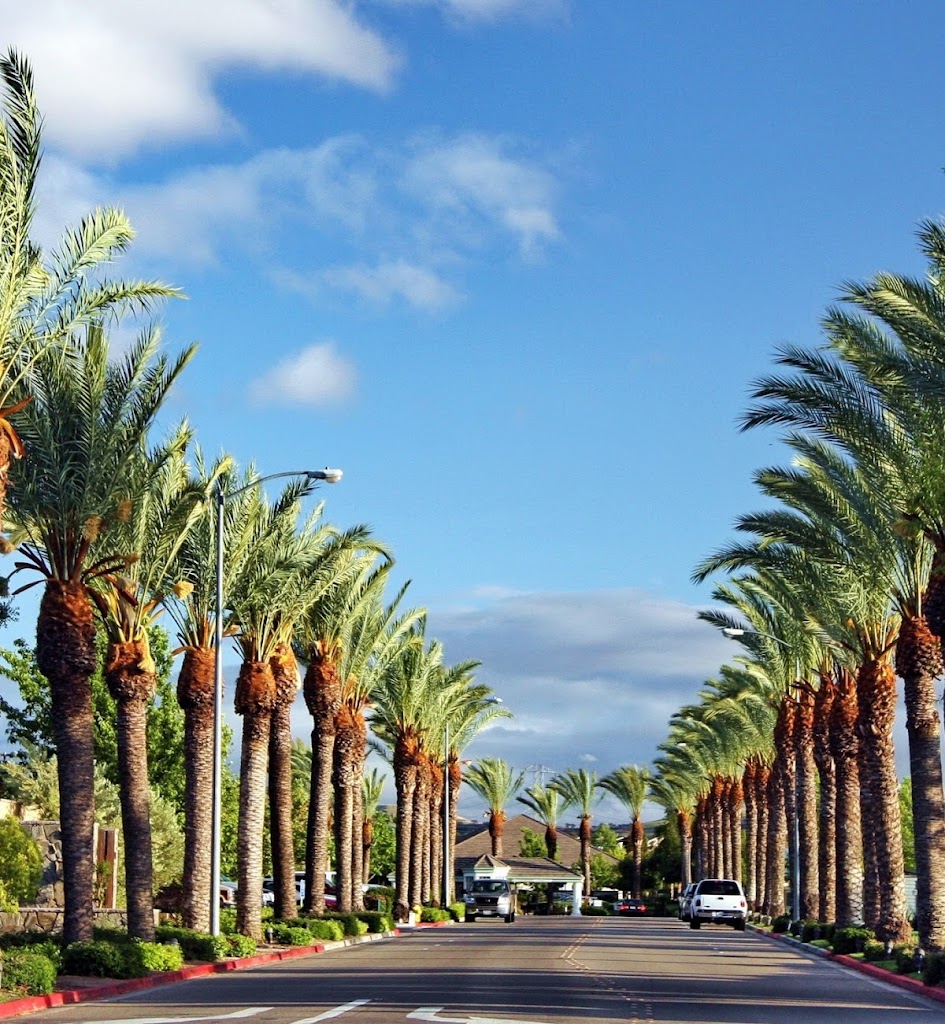 Palm Tree Golf and Event Center - gallery