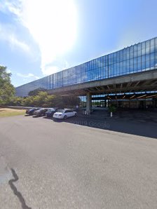 Swing Loose Indoor Golf - gallery