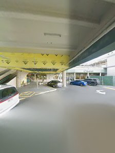 King Swing - gallery