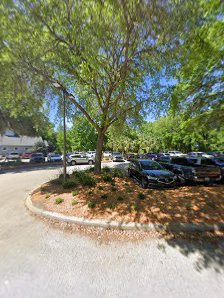 Top of the Tee - gallery