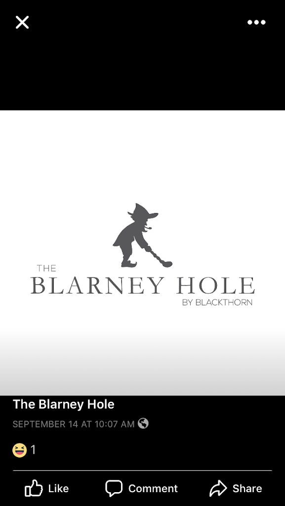 Blackthorn Topgolf Swing Suite - gallery