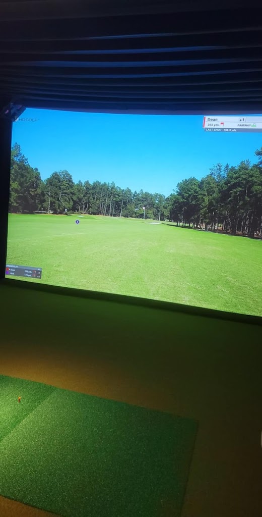 Dibberz Indoor Golf - review