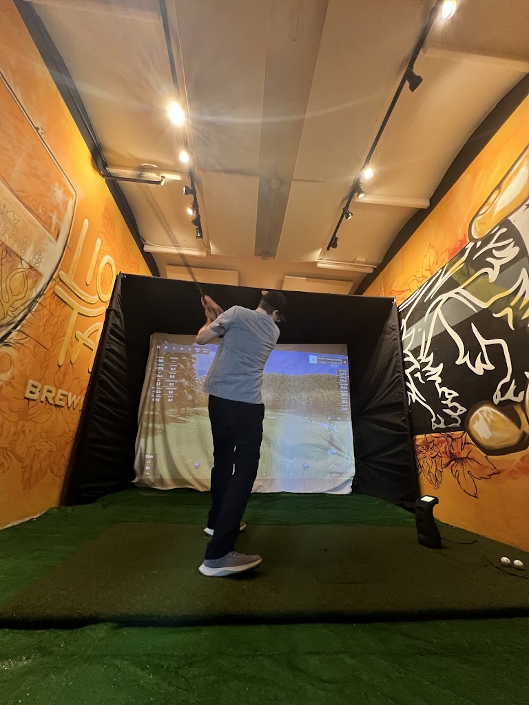 Nomad Mobile Golf - review