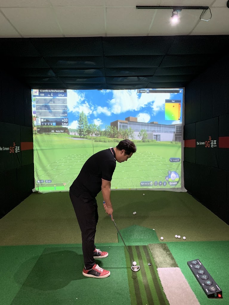 Talkin'bout Screen Golf - review