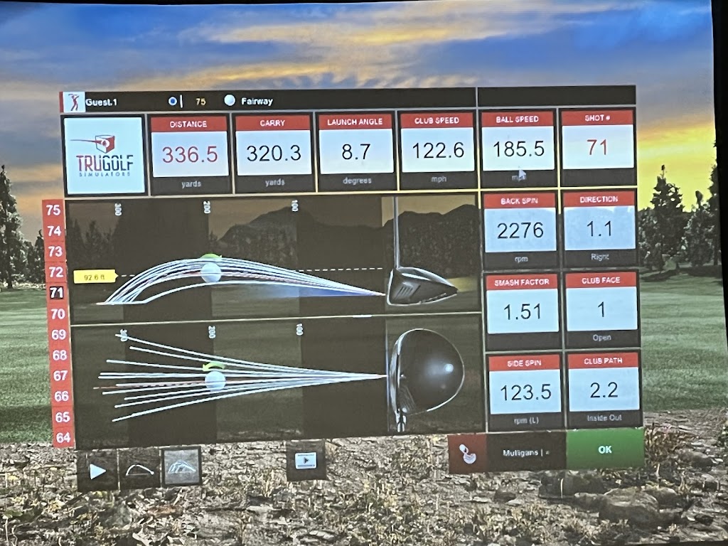 The Rough Virtual Golf Center - review