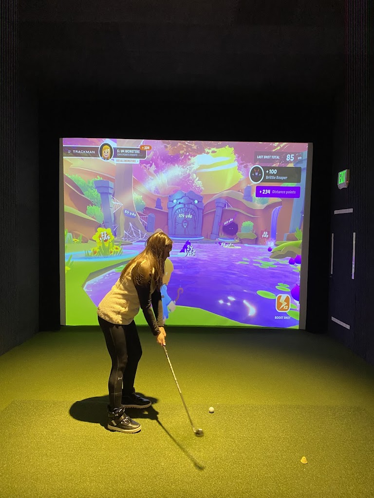 IndoorGolfClub - review