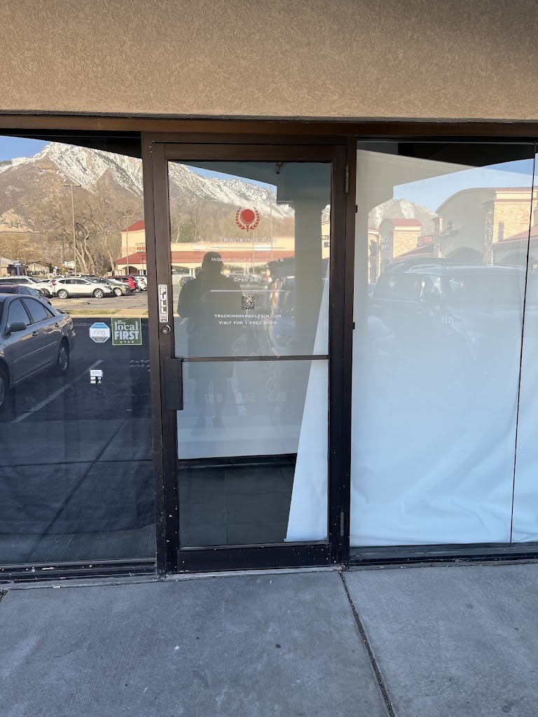 Tracking Par Golf Simulator - review