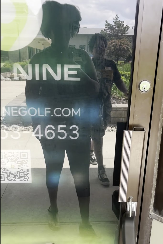 The Back Nine Golf | Livonia, MI - review