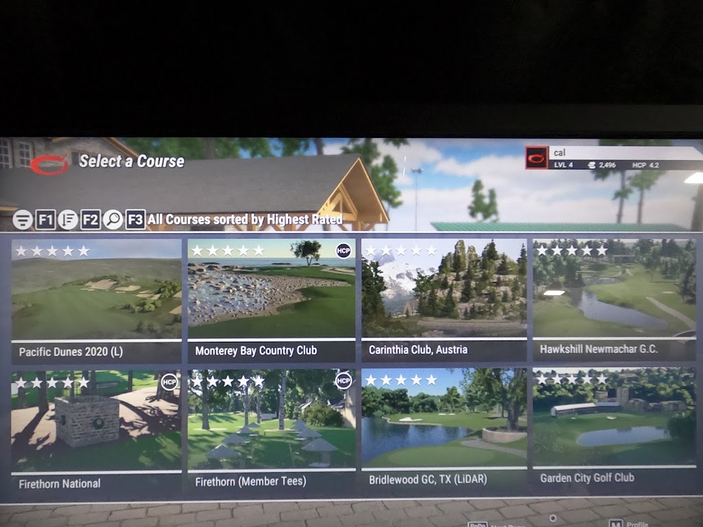 Ann Arbor Indoor Golf - review