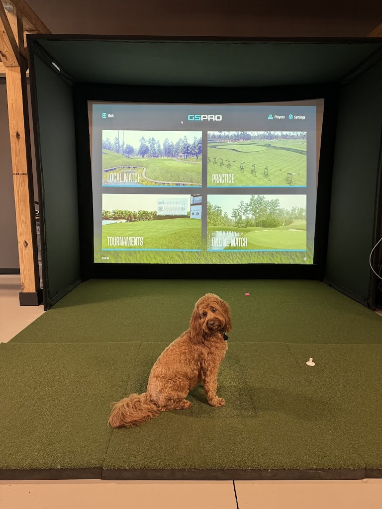 Vienna Golf - review