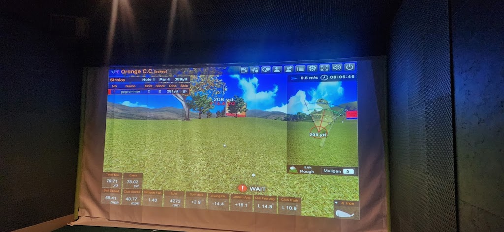 Maximus Indoor Golf - review