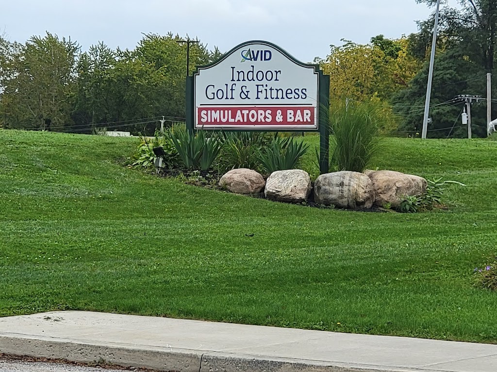 AVID Indoor Golf - review