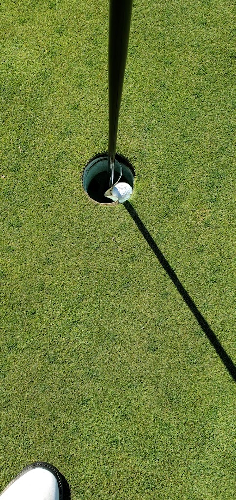 GOLFTEC Glen Allen - review