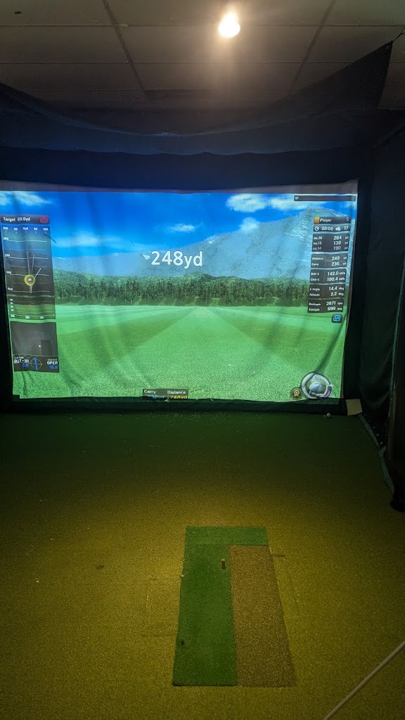 TARGET Indoor Golf - review