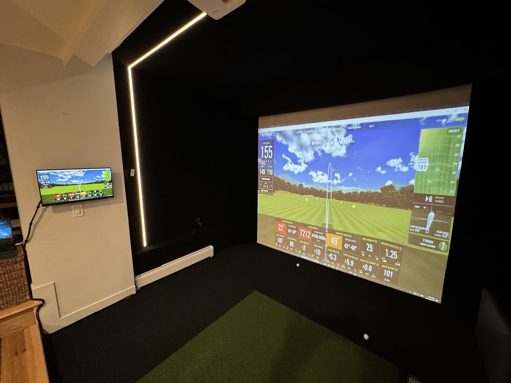 Next Level Sims - review