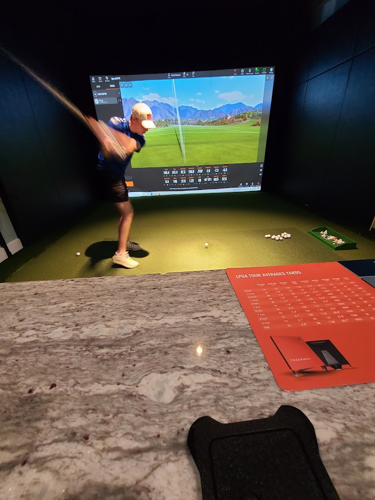 Bear's Virtual Golf - review