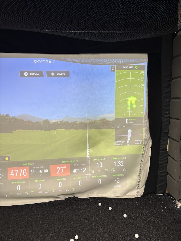 GOLFTEC Woodland Hills - review