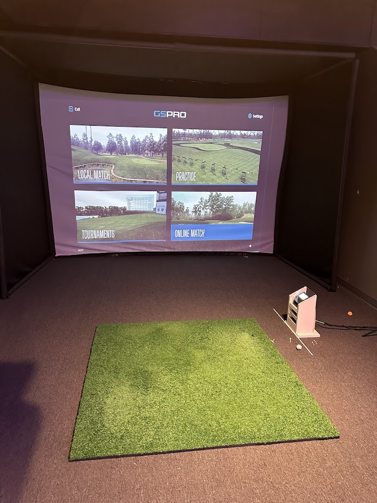 Birdie Club - review