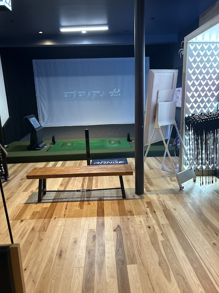 GOLFZON Range by Leadbetter - review