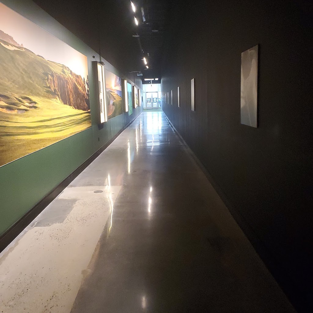 X-Golf Commack - review