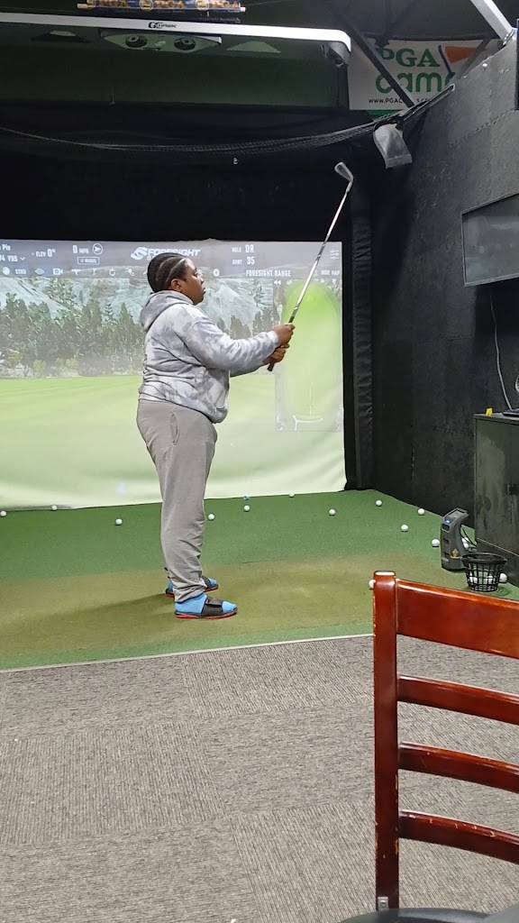 DP Golf Indoors - review