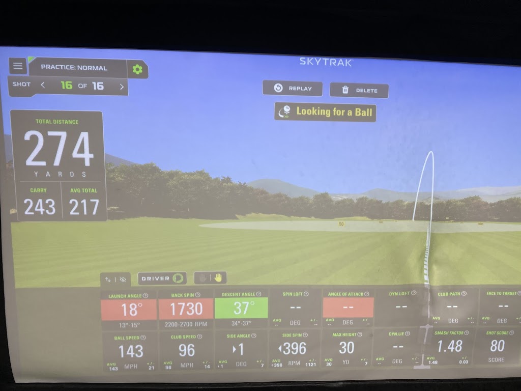 GOLFTEC Bellevue - review